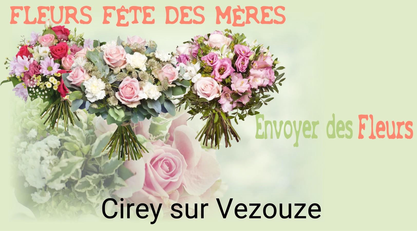 Bouquet de Fête des Mères livré à Cirey-sur-Vezouze